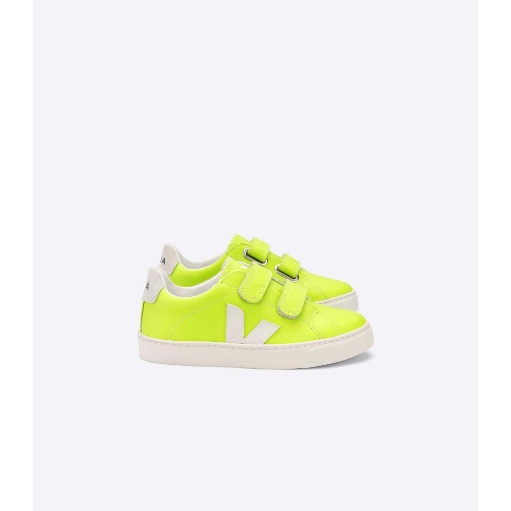 Veja ESPLAR LEATHER Kids\' Sneakers Green | CA 822VRW